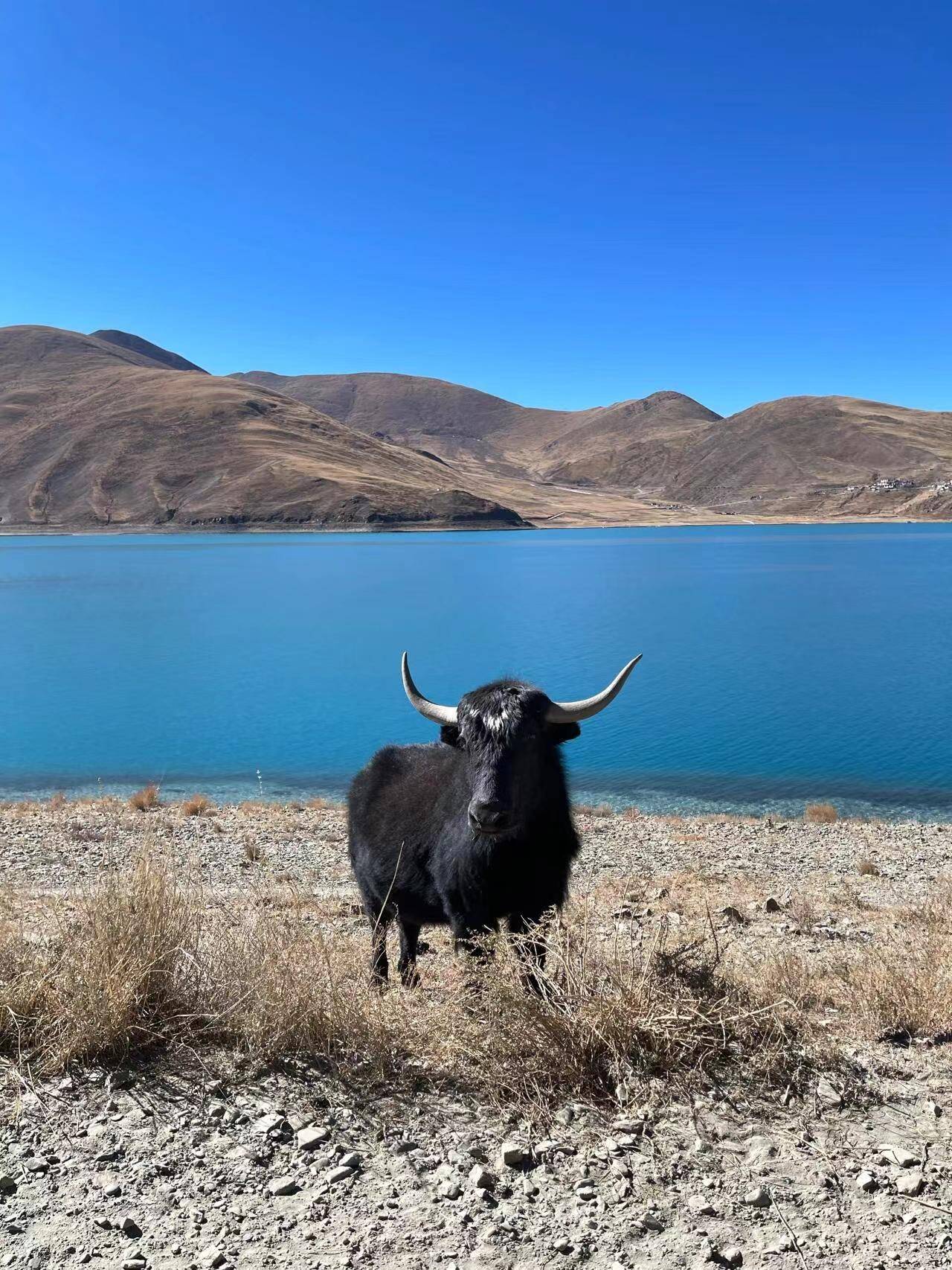 拉萨附近的旅游景点图片