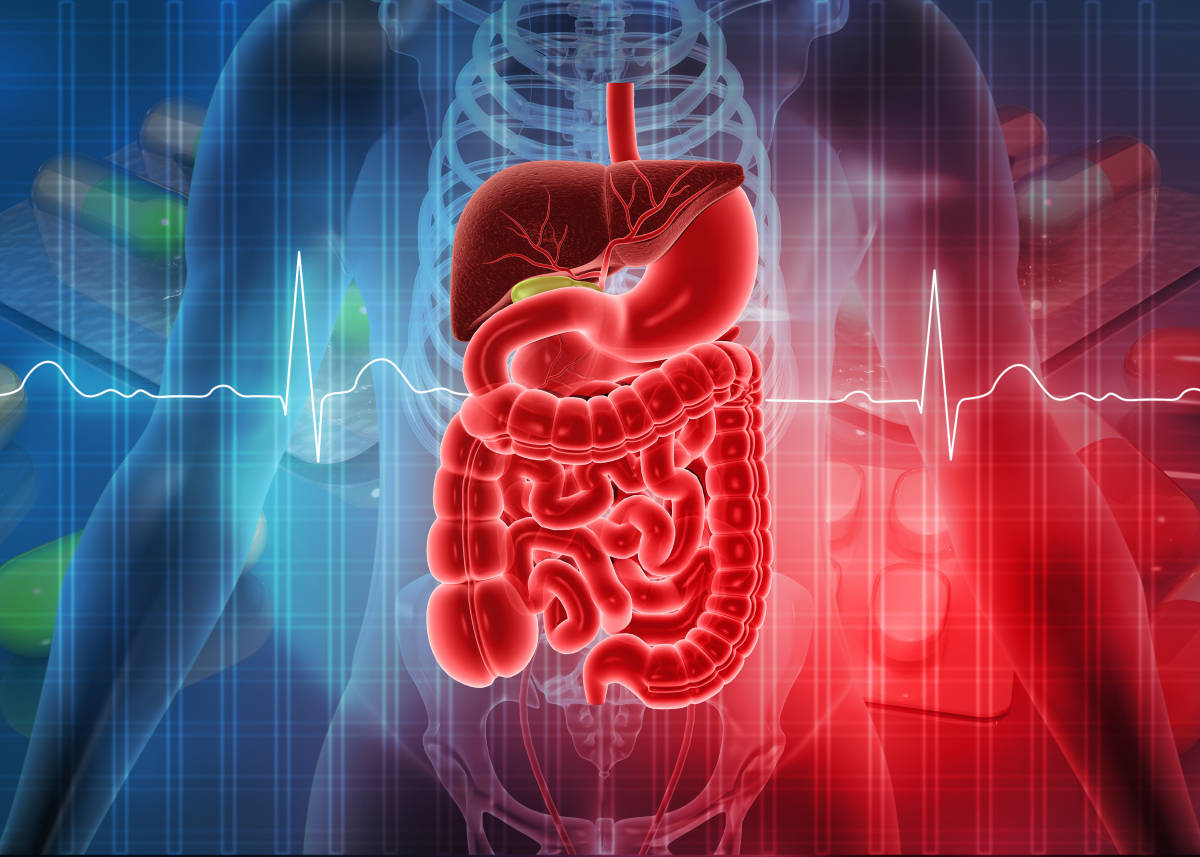 胃下垂有什么症状表现_患者_横结肠_腹部