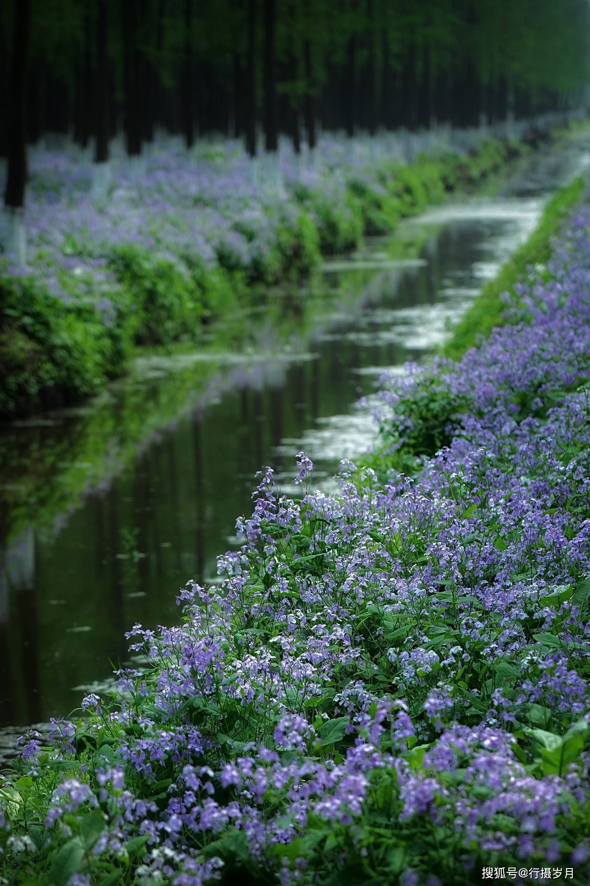 《红尘相思,情深缘浅》