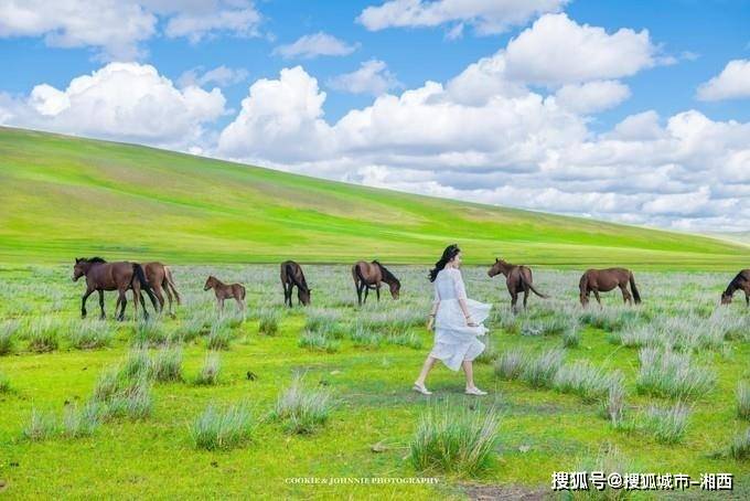 内蒙古五天旅游团大约价格_草原_蒙古族_希拉