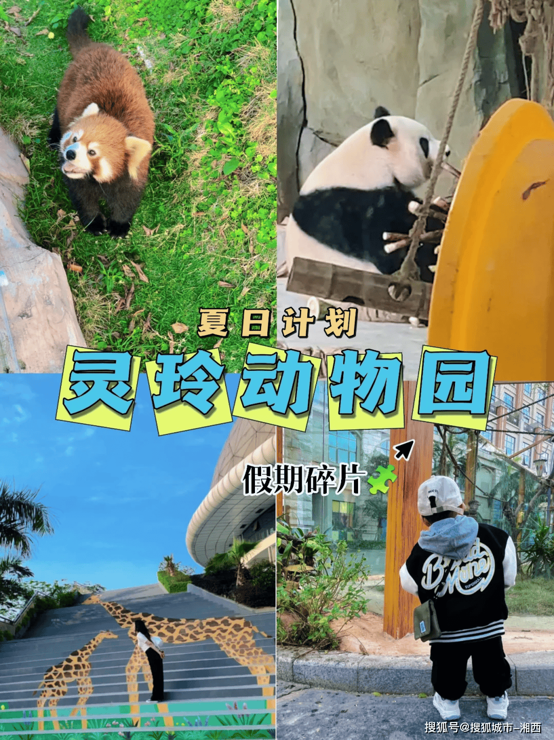 厦门旅游动物园三天两晚多少钱?第一次去厦门必看