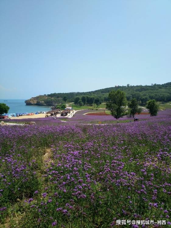 大连超全景点推荐及旅游攻略,去大连这么玩,超好玩