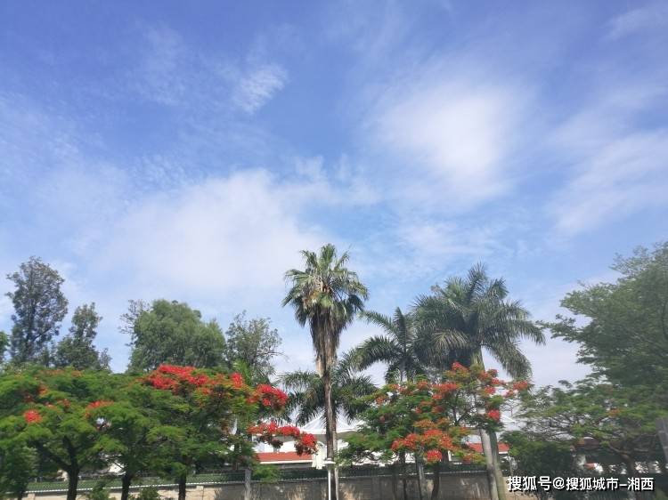 厦门三天两晚结伴游攻略,厦门3日游金牌导游定制路线