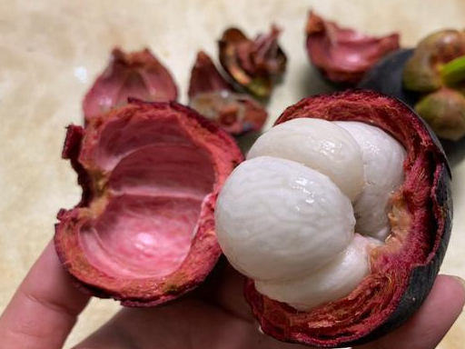 爱吃山竹的人留意了,我也今天才知道,看后抓紧转告身边人