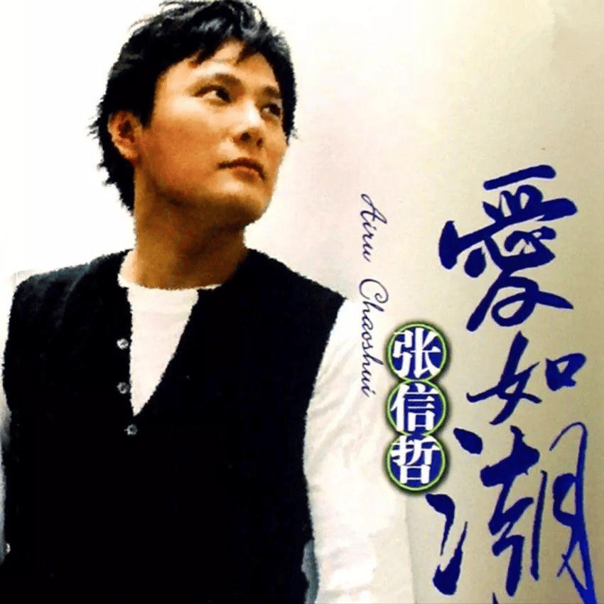 此后张信哲发布的多首歌曲均取得了不错的成绩,不仅销量可观还频频