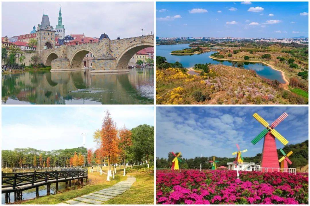 松湖烟雨,松湖花海,桃源公园,百花洲,每一处都是最佳的打卡机位,更有