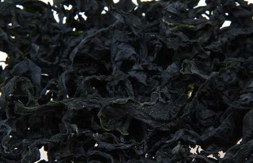 多吃这五种蔬菜,补钙养生,还能降血压,现在知道还不晚_紫菜_人体_菠菜