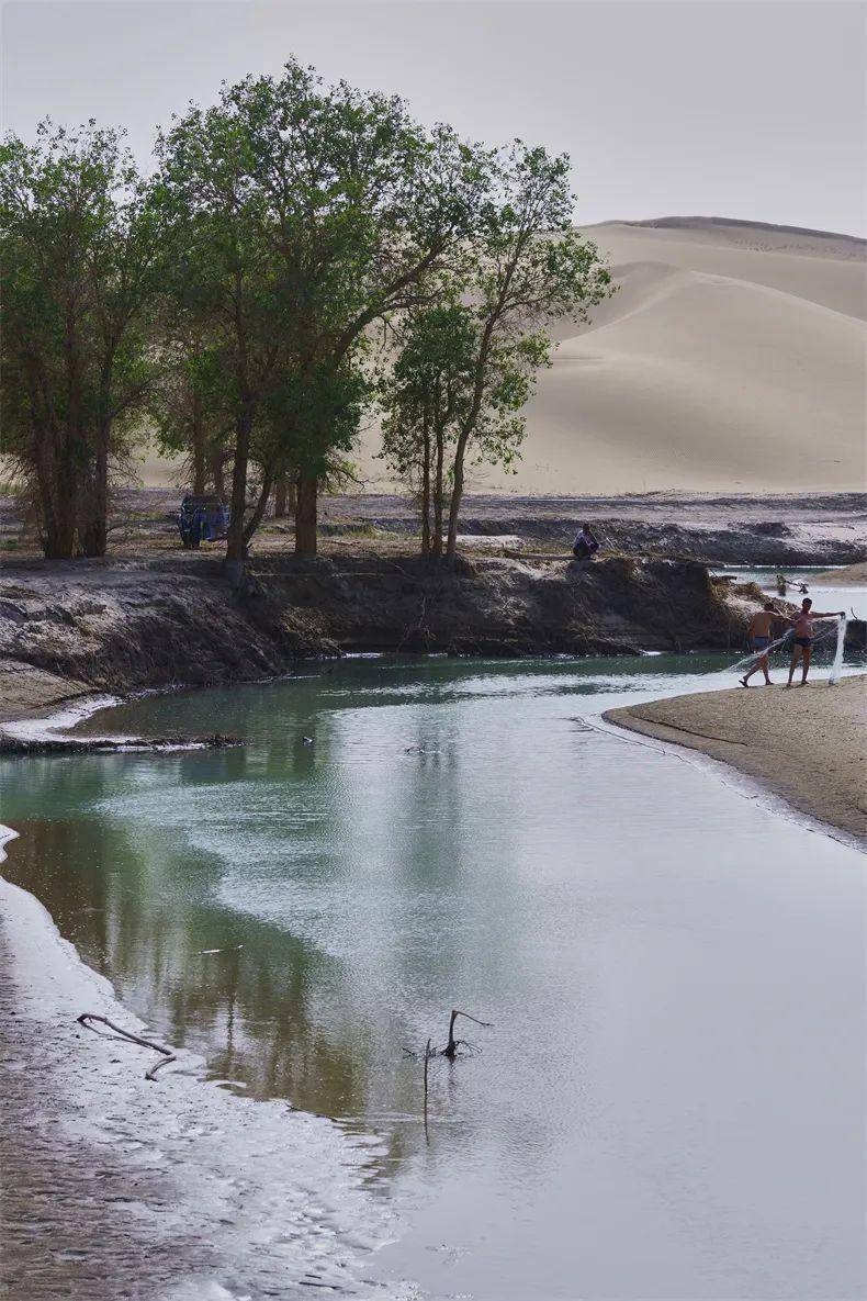 村寨_塔里木河_生活