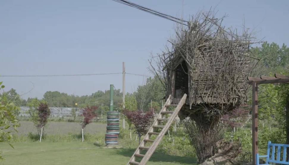 腾讯元老魏震:赚够钱后辞职,携妻儿退隐山林,每天种地喝茶?