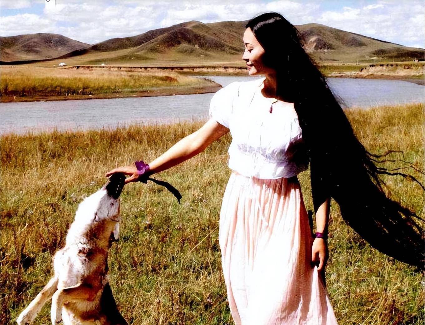 李微漪:养大一匹狼,送它重返狼群,4年后重逢却相见不相亲了