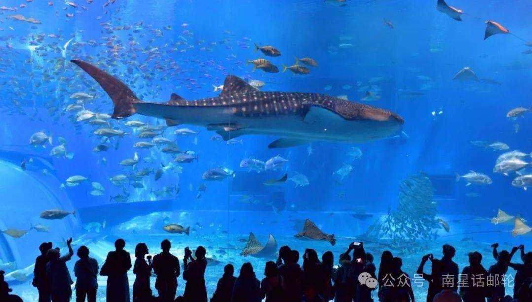 中国出发居然有这种邮轮航线,星姐也是第一次见_上海_小镇_蓝梦之