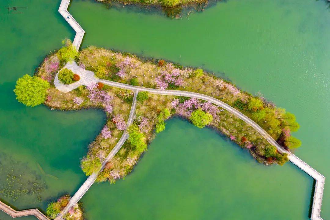 铜鉴湖的春色旖旎如画,是杭州很难得的,"景美人少"好去处