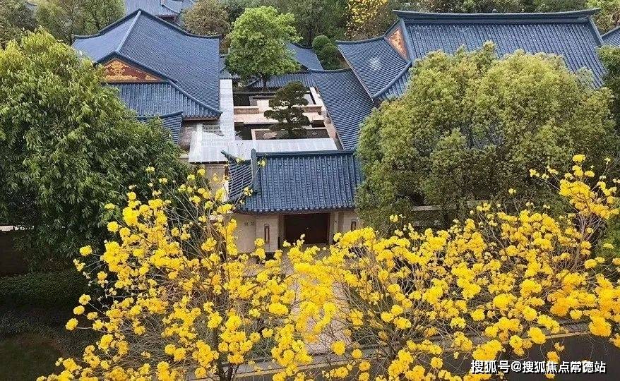 从都国际庄园售楼处(广州)首页网站|从都国际庄园楼盘详情_房价_户型