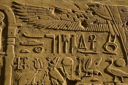 小小一棵草,却是法国人眼中不可或缺的美食元素_欧芹_香草_风味