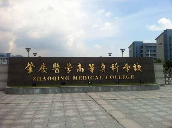 广东24年成考医学类院校专业最新攻略