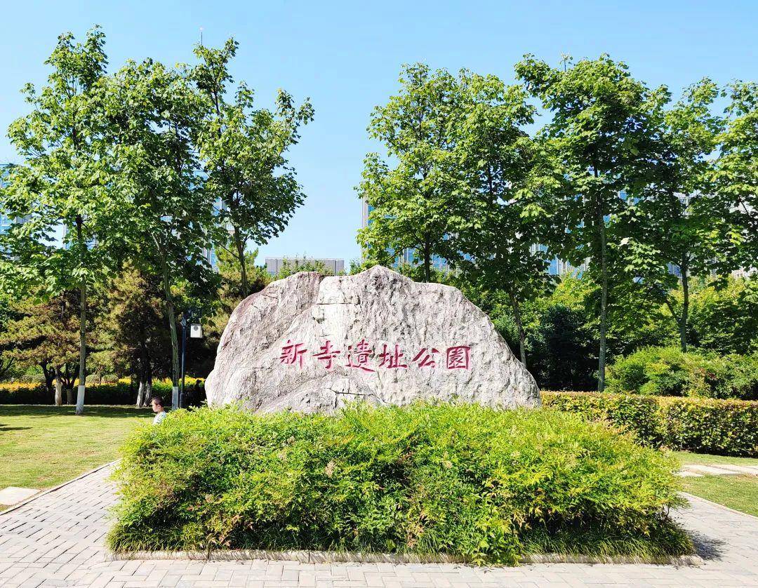 西安的夏天从新寺遗址公园的黄色雏菊花开始,大北郊少有的赏花地