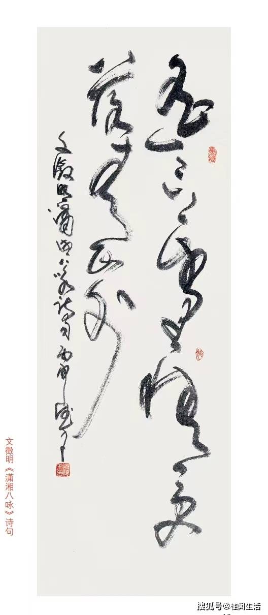 胡德才:书法f1方程赛车的驭行者