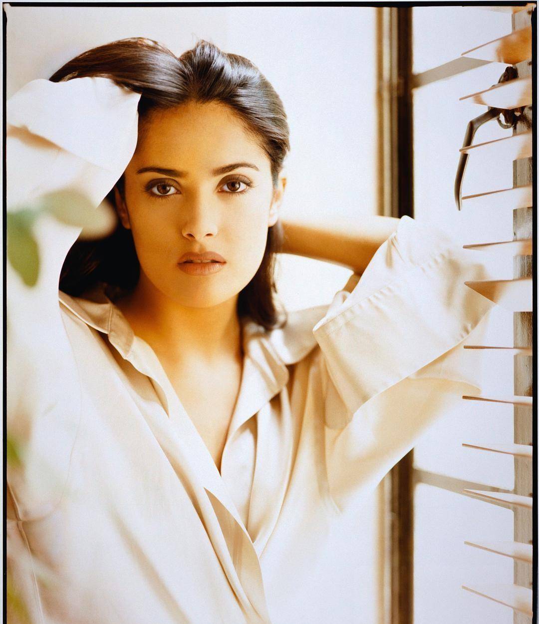 墨西哥一部收视火爆的肥皂剧《特蕾莎》而成为当地家喻户晓的女明星