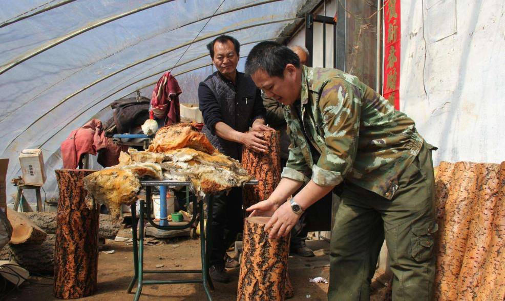 从天而降的宝物这位辽宁农民名叫王承德,据说王承德