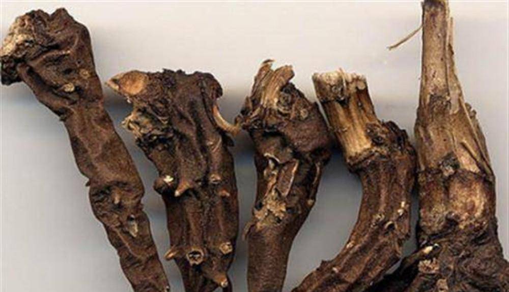 2017年,厦门药店中药被偷,小偷泡酒饮用后身亡,店主却