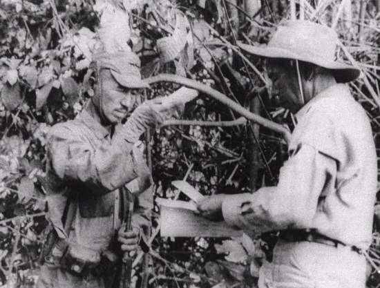 特点,而日本就是看中高砂族的这个特点,便特意组建了一支"高砂义勇队"