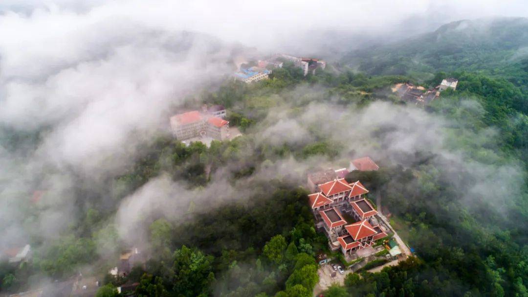 鸡公山景区荣获2024年"茶和天下"十大精品旅游线路