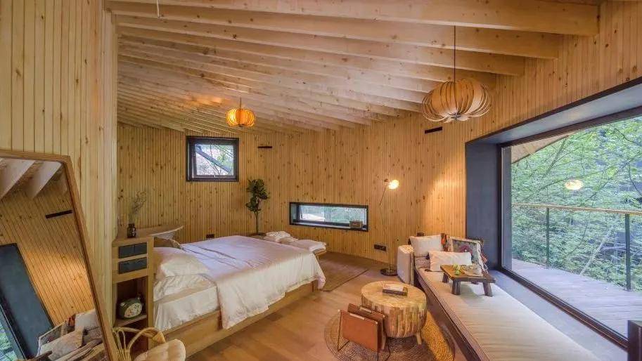 走进民宿|从森林里长出来的民宿——余姚·树蛙部落