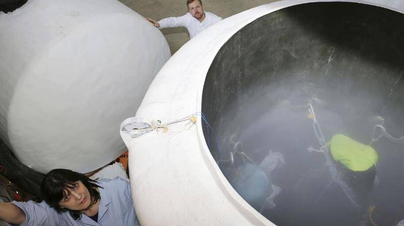 人体冷冻技术:客户多富翁,一颗头颅75万,"冻住"时间有意义吗