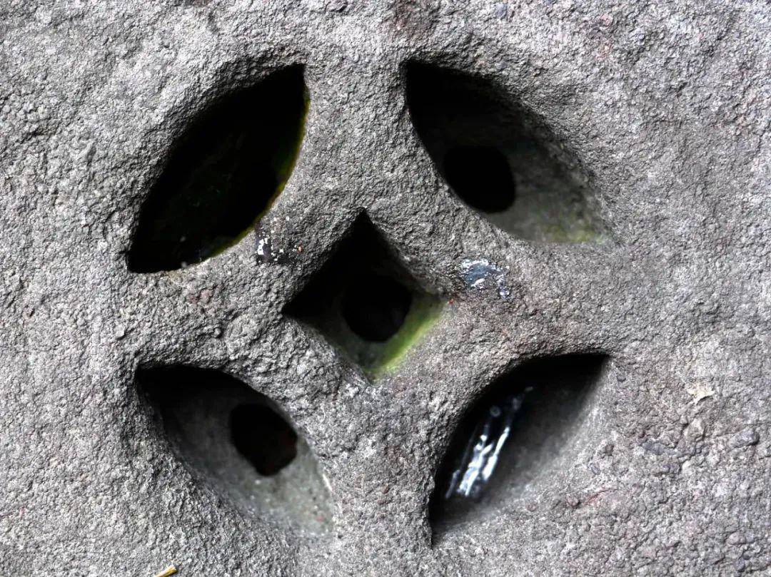 点击输入图片描述(最多30字)郑树标作为师父,接受了