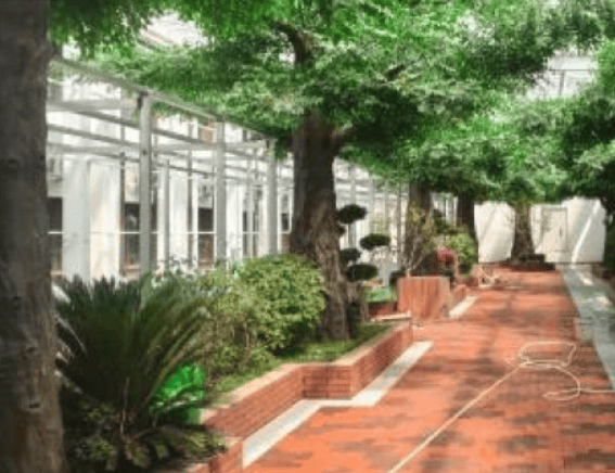 北京市石景山区民族养老院五里坨康养中心详细介绍