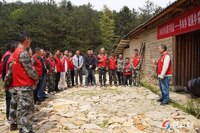 荒野茶种植主体及茶企,举水乡,龙溪乡农民合作经济组织联合会,以及县