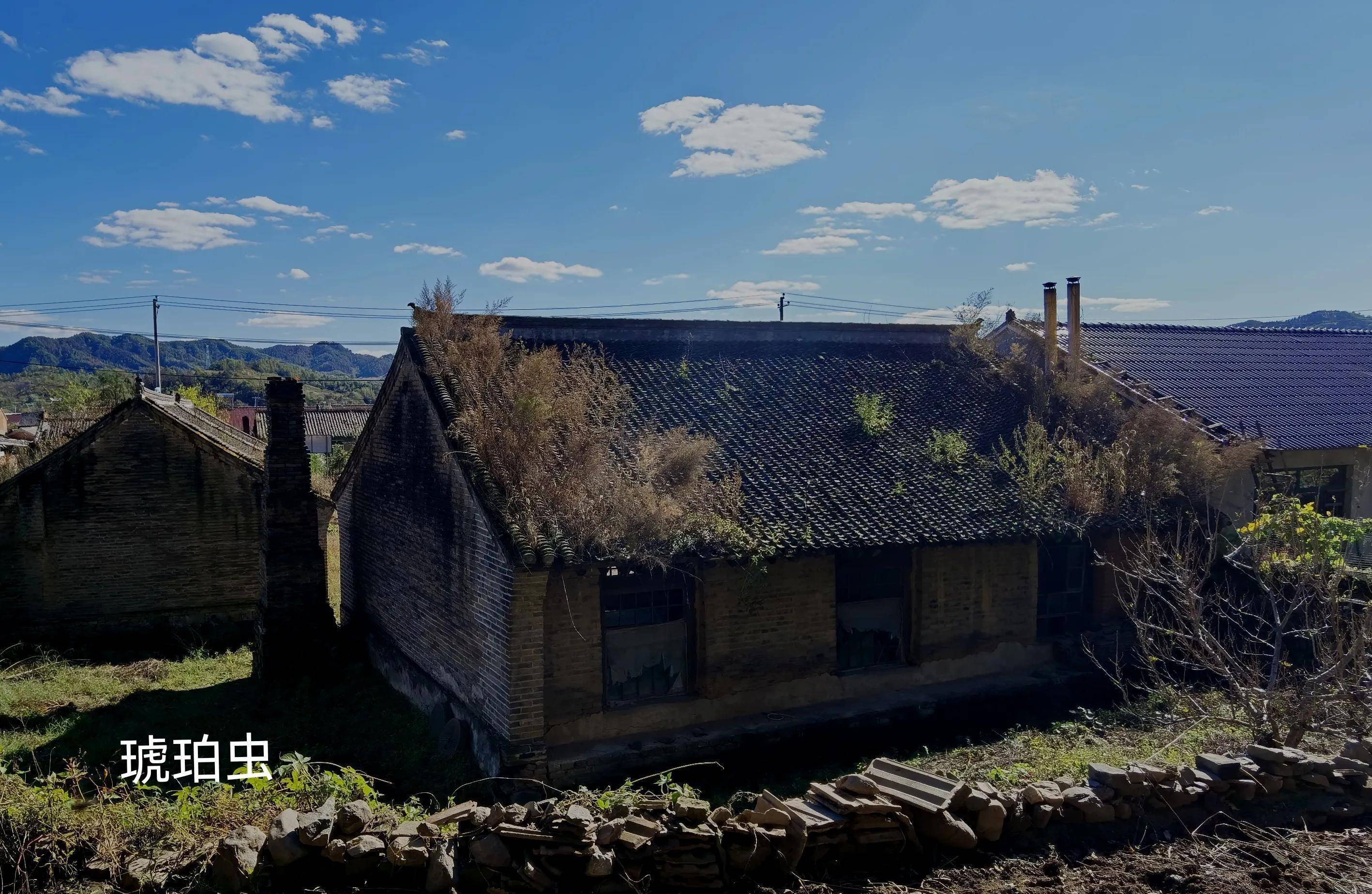 出自叫佟佳的地方,今天的辽宁抚顺市新宾县境内,以地名为姓氏佟佳氏