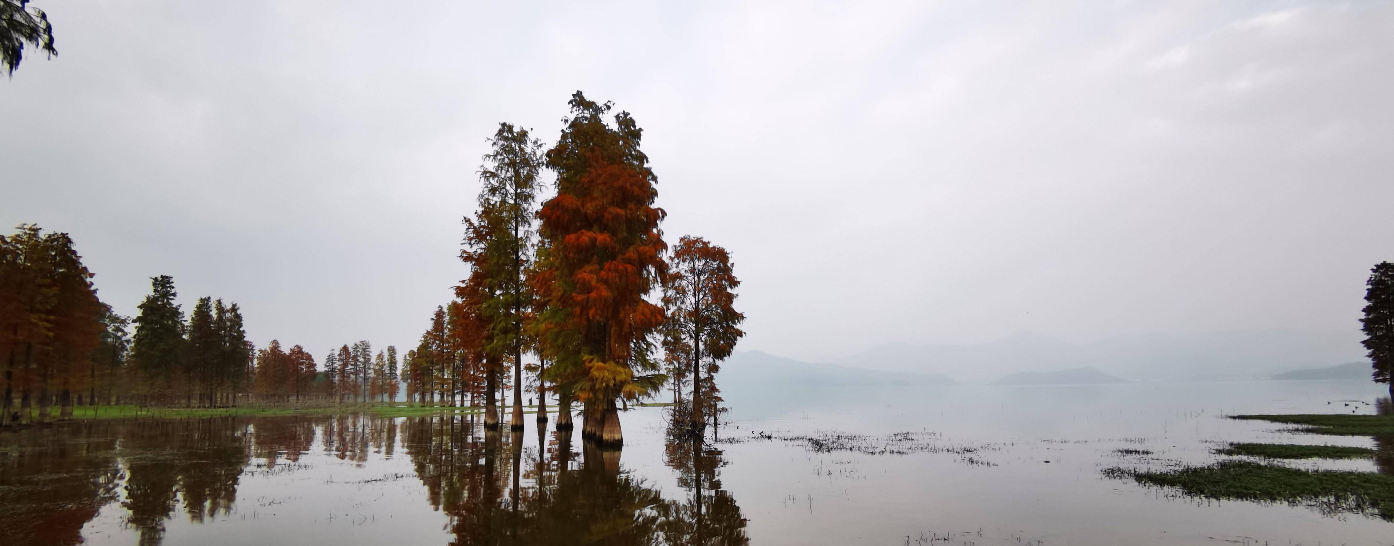 忆当年峥嵘岁月 享当下红杉福地-余姚市四明湖的前世今生_水库_水源