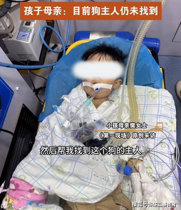 河南3岁男童被狗咬伤,18天后狂犬病发作死亡,其母亲发声