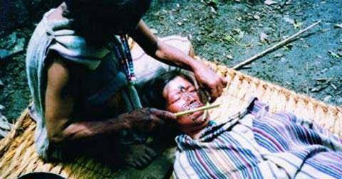 早晨七点钟,吃完早饭后,父母带着李奶奶来到了纹面师家里.