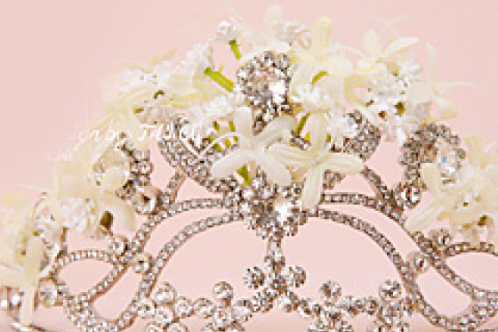 十二星座的粉红少女心公主皇冠,我是双鱼座,仙女下凡!