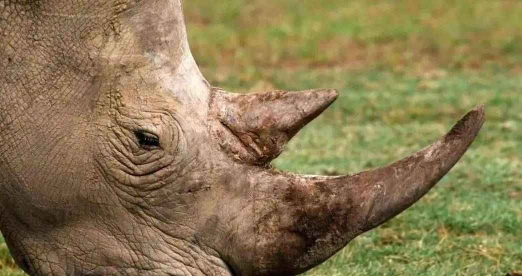 专家叫住藏友:你的手串是好东西_和田玉_价值_价格