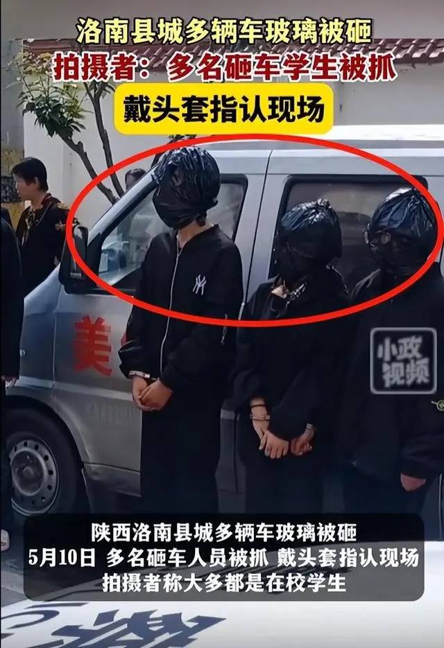 悲哀!多名学生多次砸豪车被抓,戴塑料袋指认现场,竟有多名女生