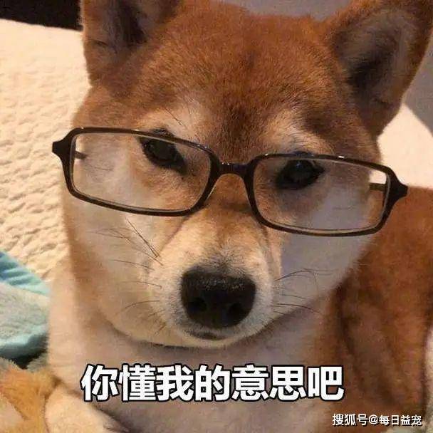 过安检被警犬狂吠,警察迅速围上来,看到"违禁品"后傻眼了