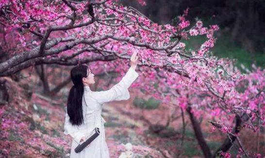 隋文帝趁独孤皇后生病,召幸了一位美人,第二天就发生了惨剧