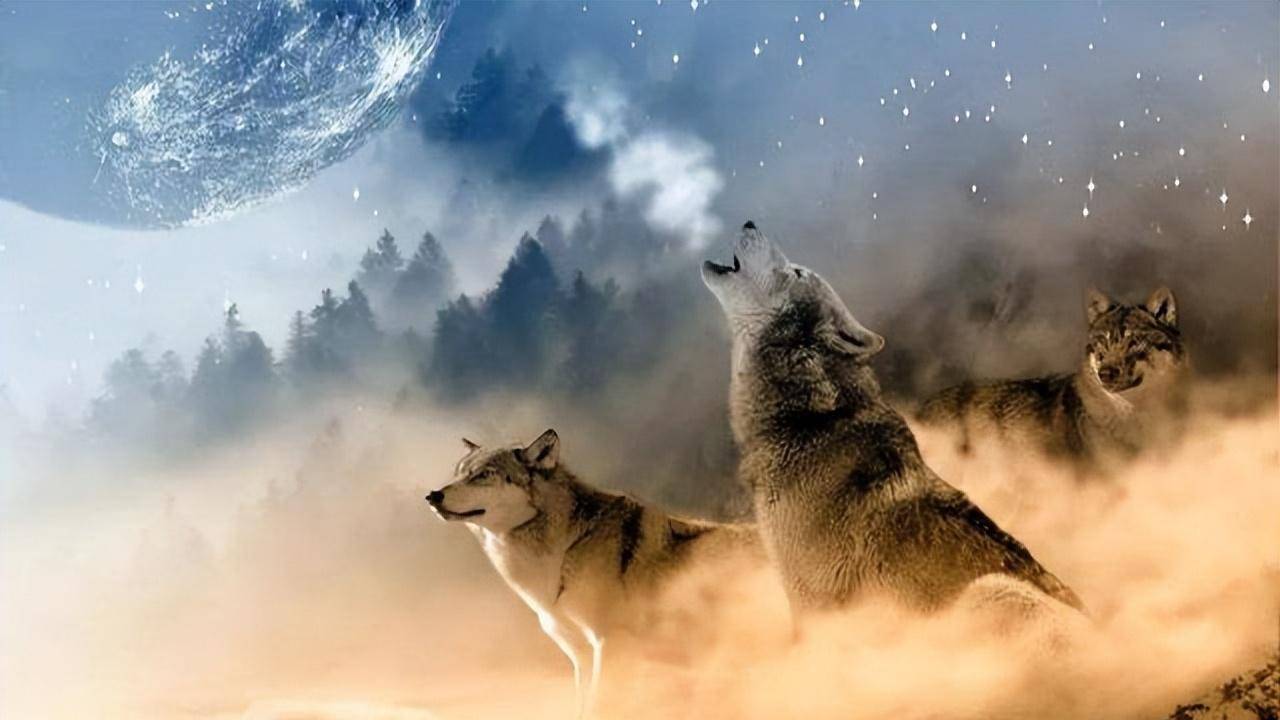 狼吃丈夫叼孩子,她一怒火燎狼窝,自己也殉身火海|北荒旧事