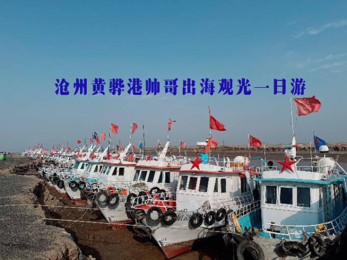 河北沧州黄骅港帅哥出海仅1200包船,出海3小时下网捞海鲜!