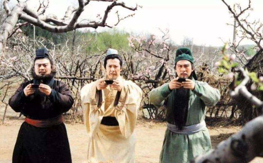 张飞墓前松柏为何不长树干?百年来难以解释,当地村民却轻松道破