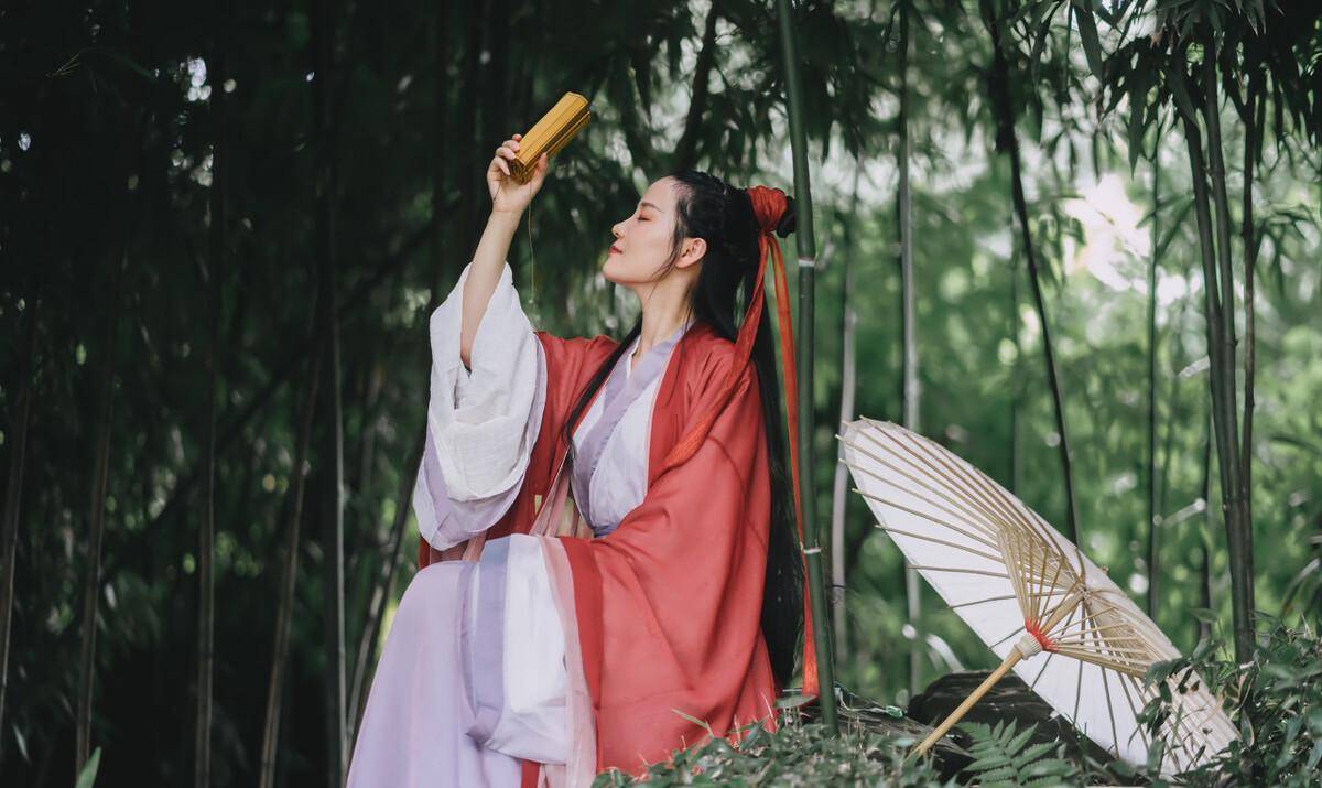 明代奇案十九:少妇返家半路失踪,巡按私访现端倪,白纸审出奸僧