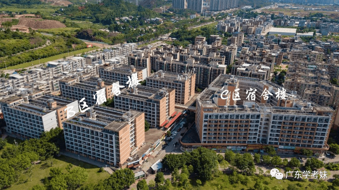 陵川县楠园大酒店图片