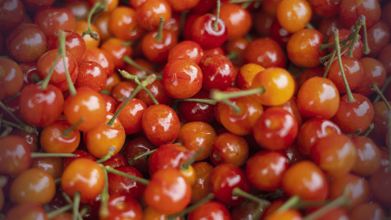 欧洲美食登陆中国市场,独特风味盛宴即将开启,谁将成为餐桌新宠