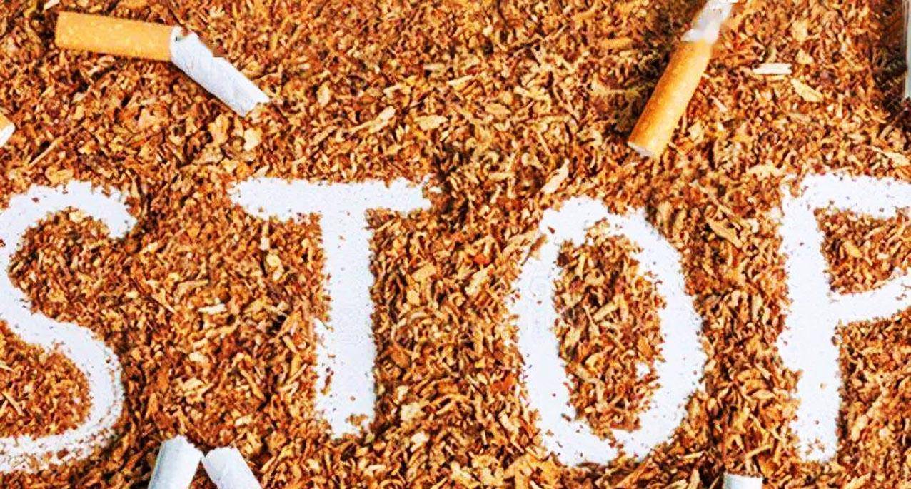 中国超过3亿烟民,对烟草的来历与传播了解的没有多少人