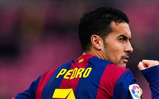 曼城主力球员的挑战与困境_阿尔瓦雷斯_哈兰德_教练