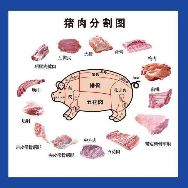 猪身上的6个部位