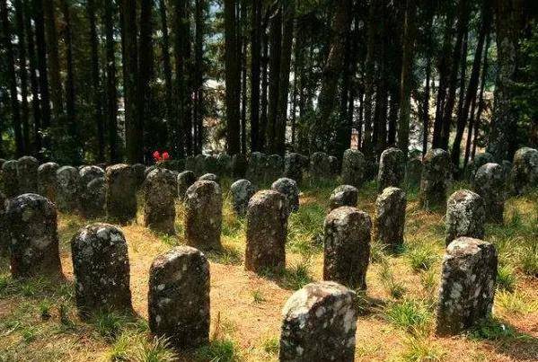 莽莽野人山,曾吞噬3万中国远征军的生命!死亡禁地迄今还在吗?